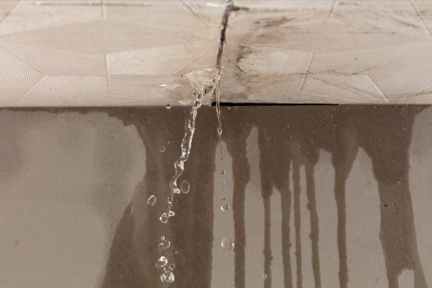 Professional Burst Pipe Cleanup technician working in Sherman, TX